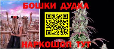 кокс Баксан