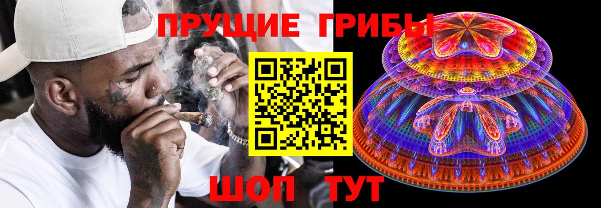 Псилоцибиновые грибы мицелий Ангарск